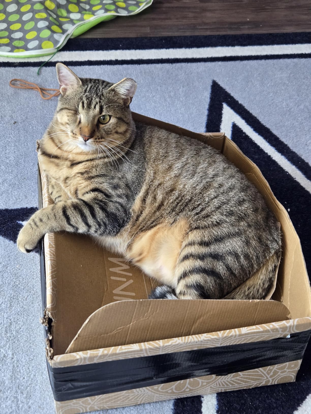 UNMERA Acupressure Mat and Pillow Set,Natural Premium Linen & Coconut Fiber Filling,for Back/Neck Pain Relief, Sciatic, Headache and Muscle Relaxation, Comes with Carrying Bag customer photo 2