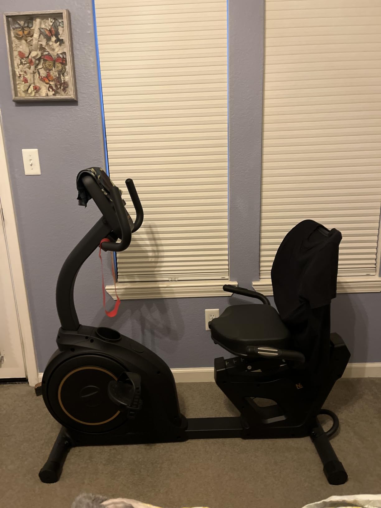 Niceday Recumbent Exercise Bike, Recumbent Bike for Home, Recumbent Stationary Bike 400LBS Weight Capacity, Magnetic Recumbent Bike with Smart APP, LCD Monitor, Heart Rate Handle customer photo 2