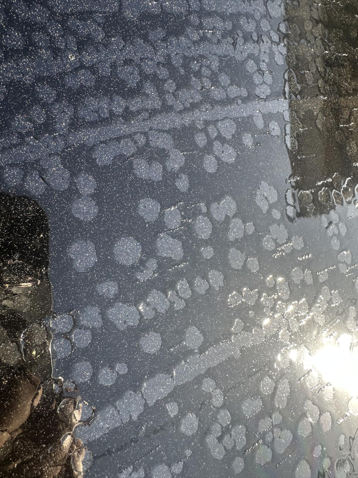 Chemical Guys Clay Bar Kit - Complete System - Clay Bar and Luber Combo with Accessories for Smooth Paint Finish customer photo 1