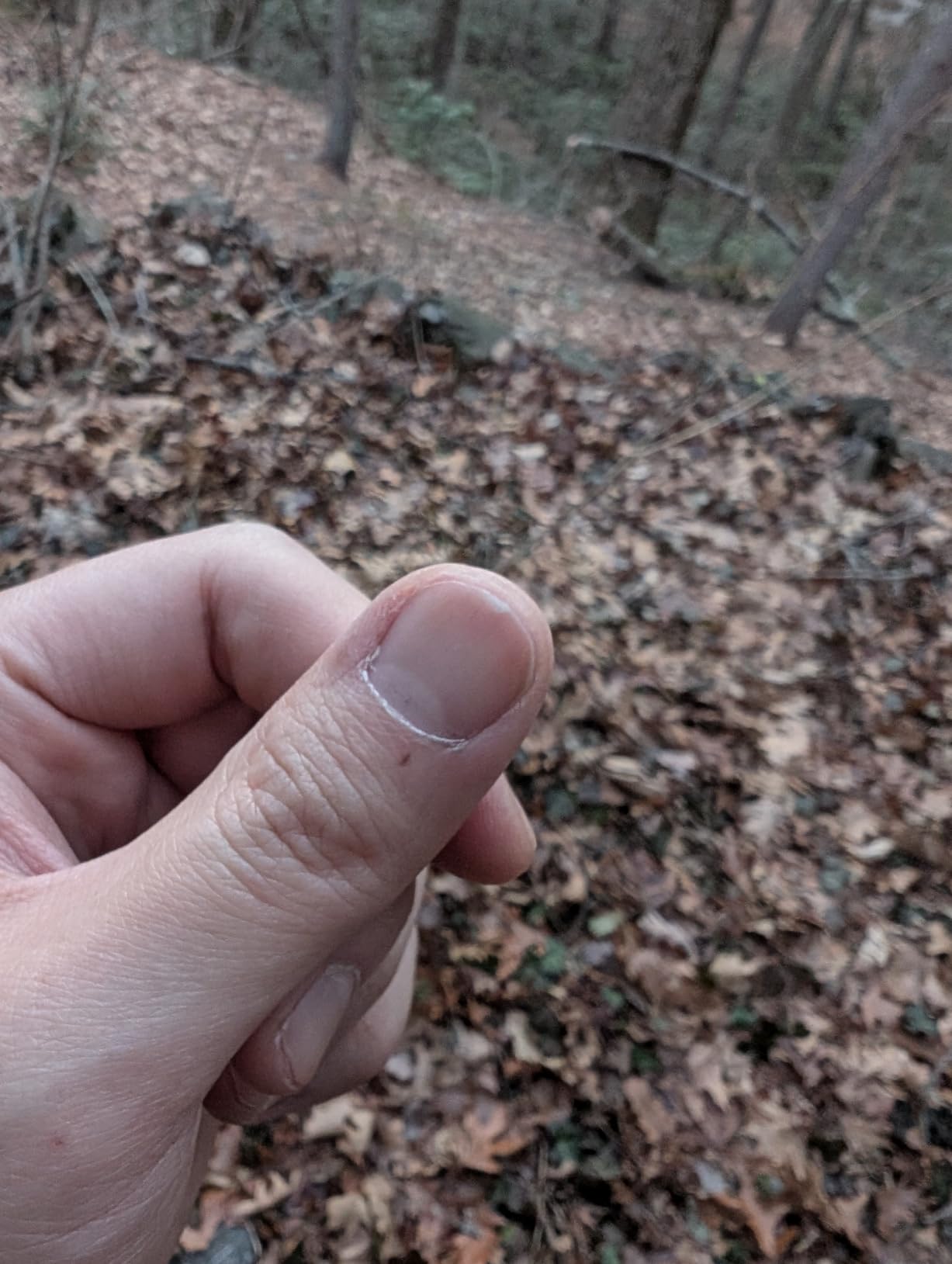 Schwer ProGuard High Level Cut Resistant Work Gloves PR3326 for Extreme Protection，ANSI A9 Cut Gloves with Reinforced Thumb, Non Slip, Breathable, Durable, Touch-screen, Black 1 Pair（L） customer photo 2