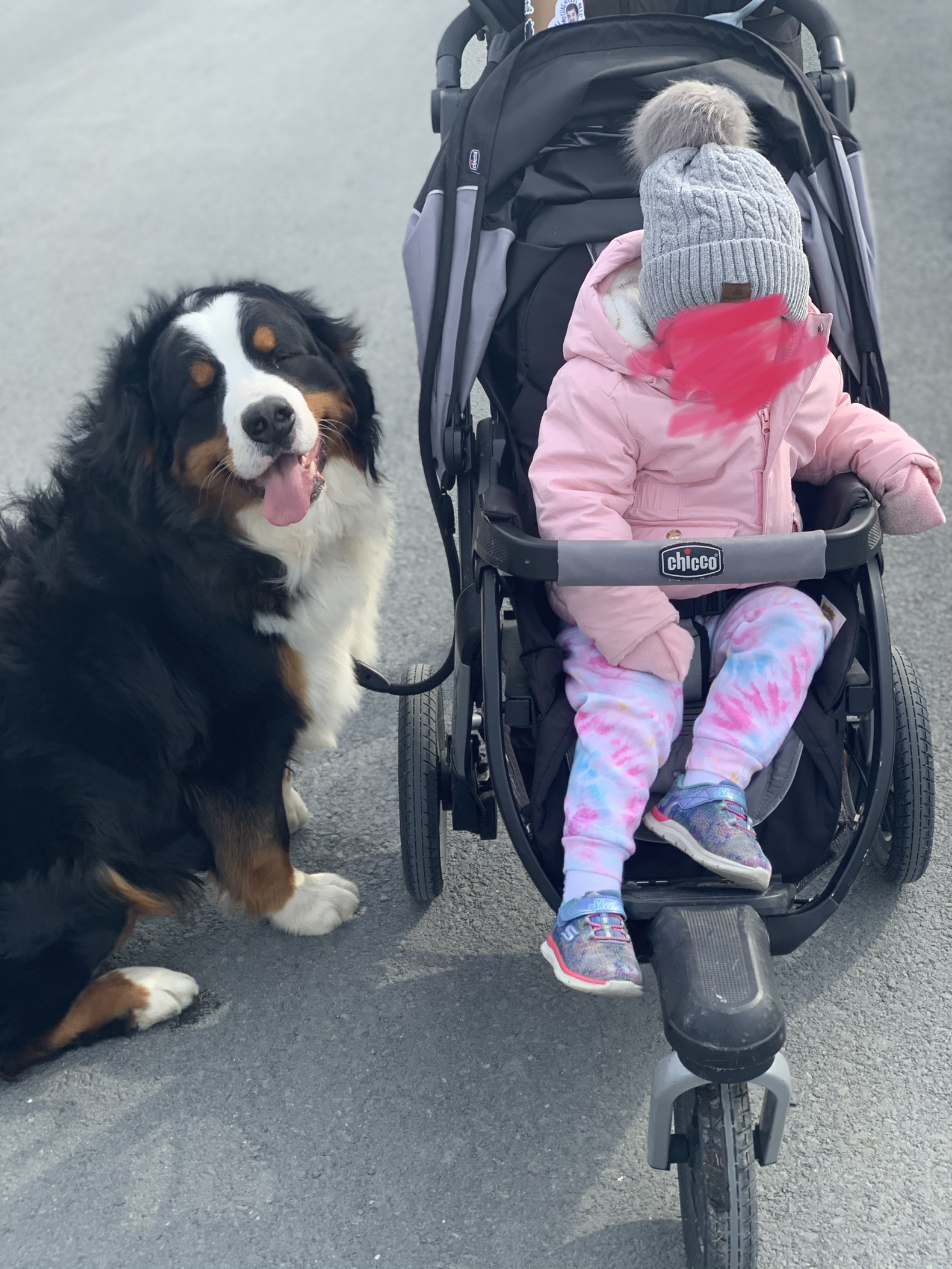 Chicco Activ3 Jogging Stroller, All-Terrain Stroller, Compatible with Chicco Infant Car Seats (not Included), Baby Travel Gear | Eclipse/Grey customer photo 2