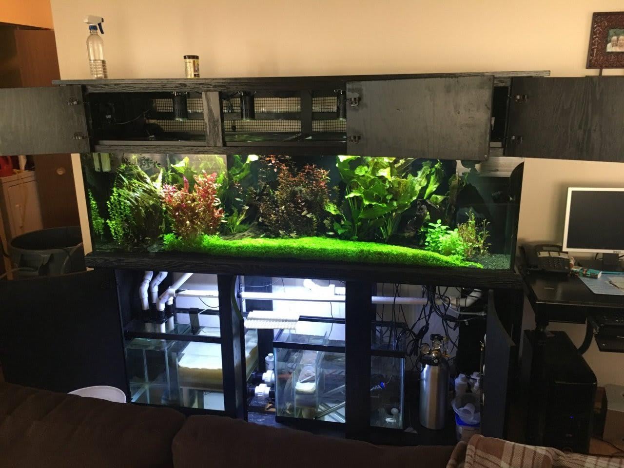 Music Glass CO2 Diffuser for Aquarium Planted Tank (1.6'' for 50-70 gallons Tank) customer photo 2