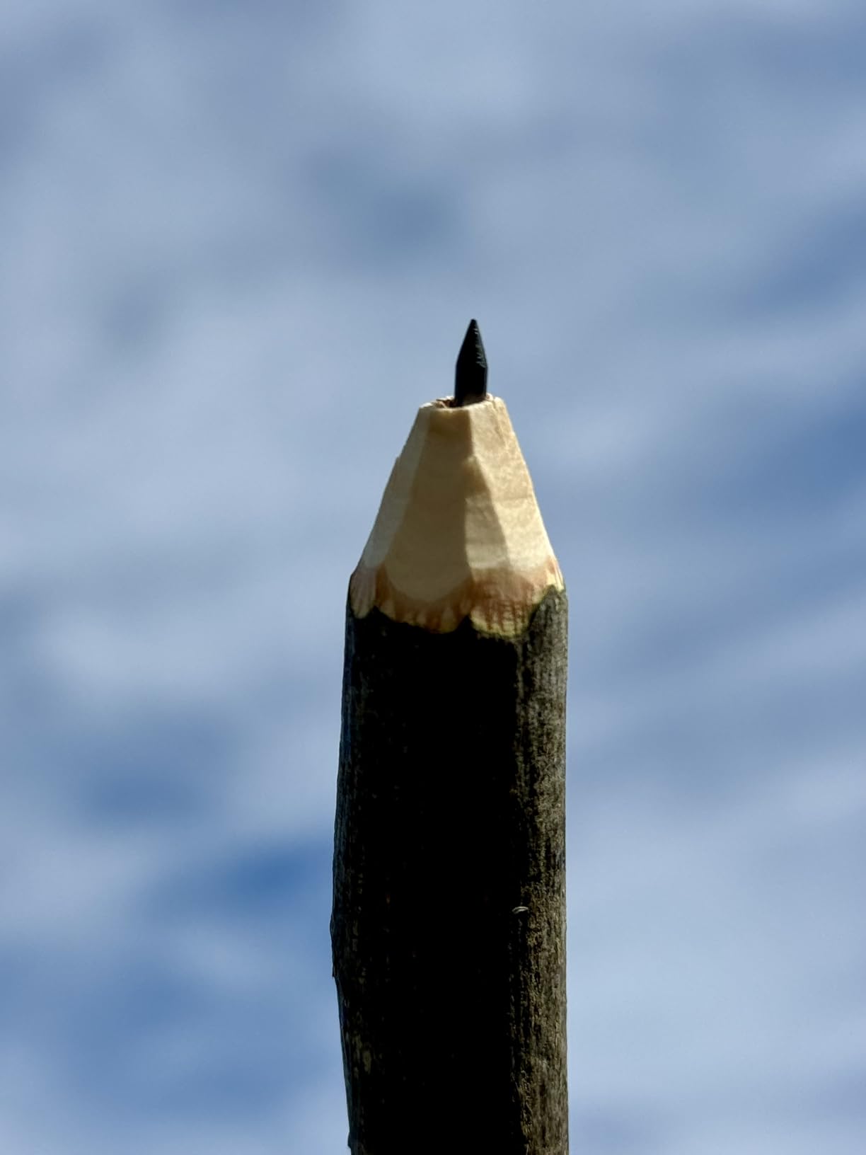 26-in-1 Wood Carving Kit with Detail Wood Carving Knife, Whittling Knife, Wood Chisel Knife, Gloves, Carving Knife Sharpener for Spoon, Bowl, Kuksa Cup (26PCS) customer photo 1