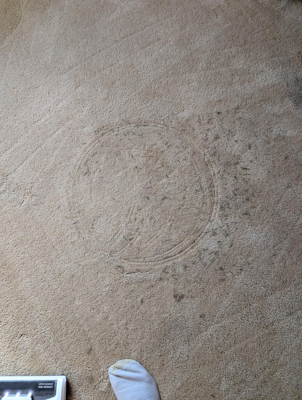 Kenmore DS1030 Cordless Stick Vacuum Lightweight Cleaner 2-Speed Power Suction LED Headlight 2-in-1 Handheld for Hardwood Floor, Carpet & Pet Hair, White customer photo 2