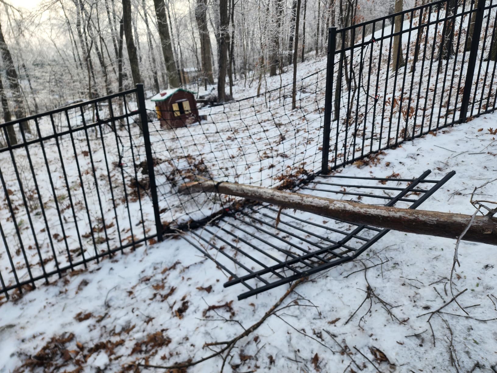 EGO Power+ Chain Saw, 16