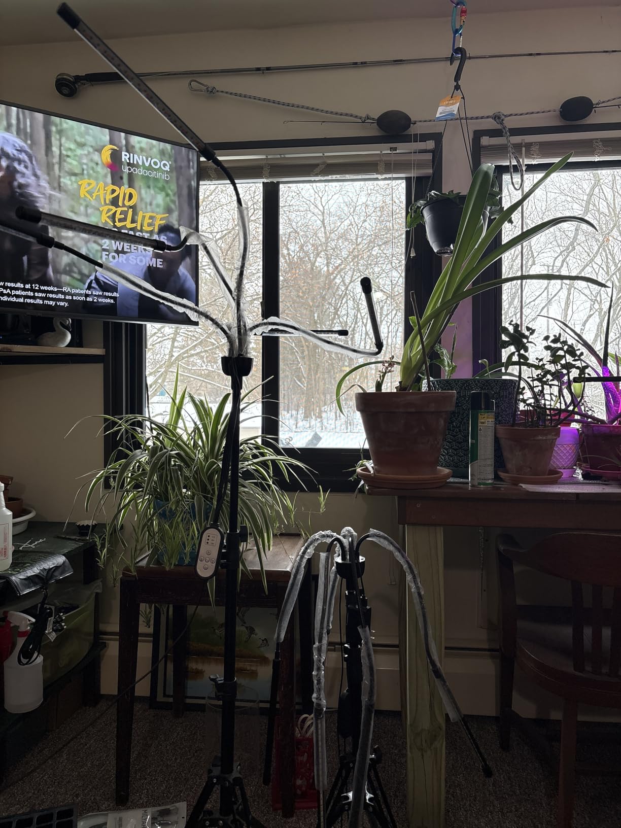 Grow Lights for Indoor Plants,5 Heads Red Blue White Full Spectrum Plant Light with 15-60