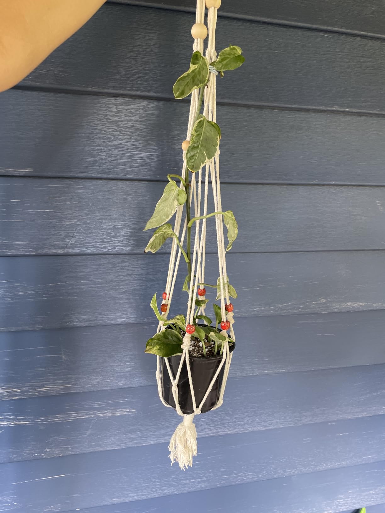 152pcs Macrame Kit for Beginners: Natural Cotton Macrame Cord, Wooden & Metal Rings, Beads, Sticks & Hoops - Perfect for Macrame Plant Hangers & Home Decor customer photo 1