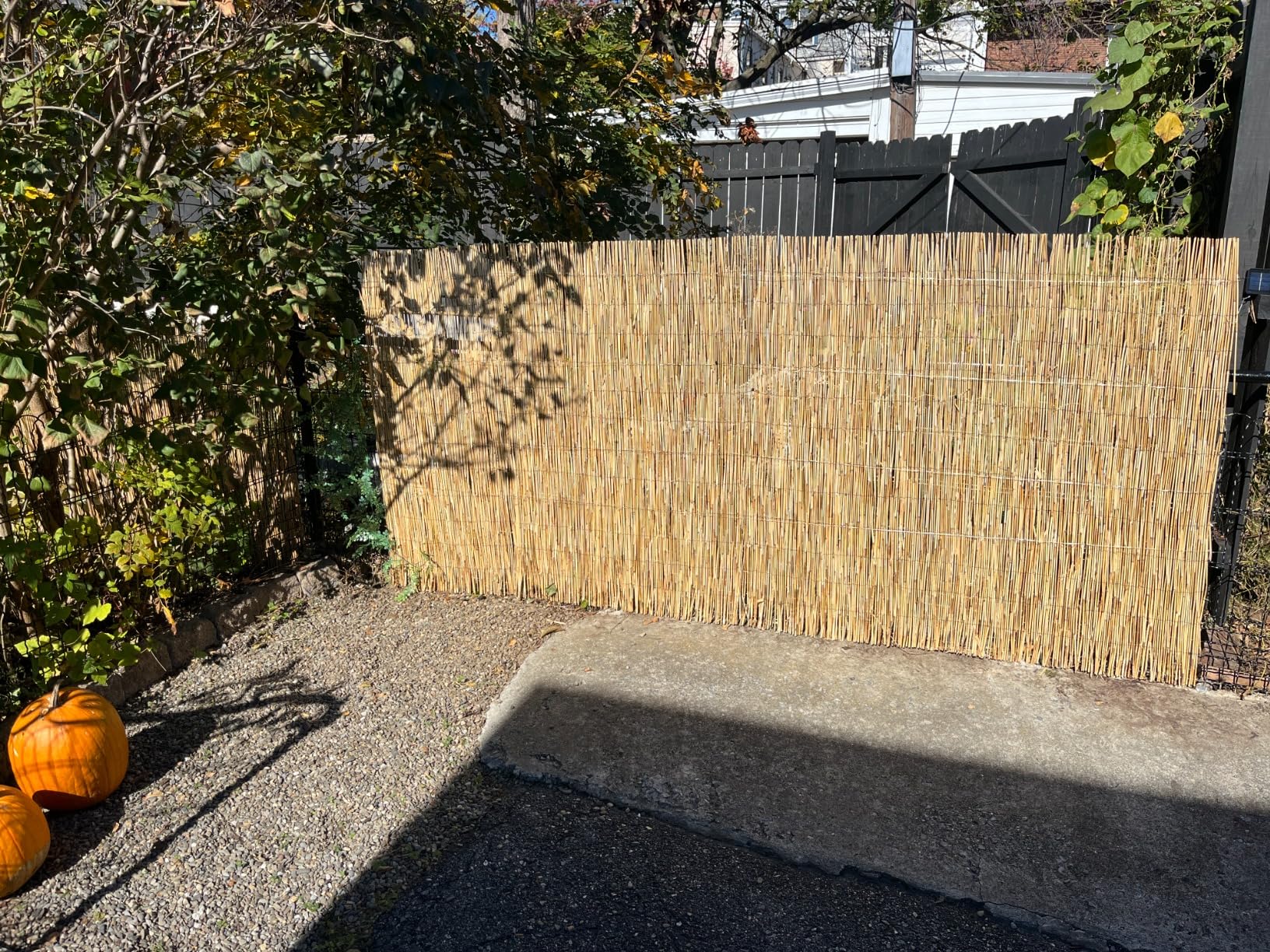 Backyard X-Scapes Natural Reed Fencing Decorative Fence for Backyard Garden Fencing Divider 4 ft H x 8 ft L customer photo 1