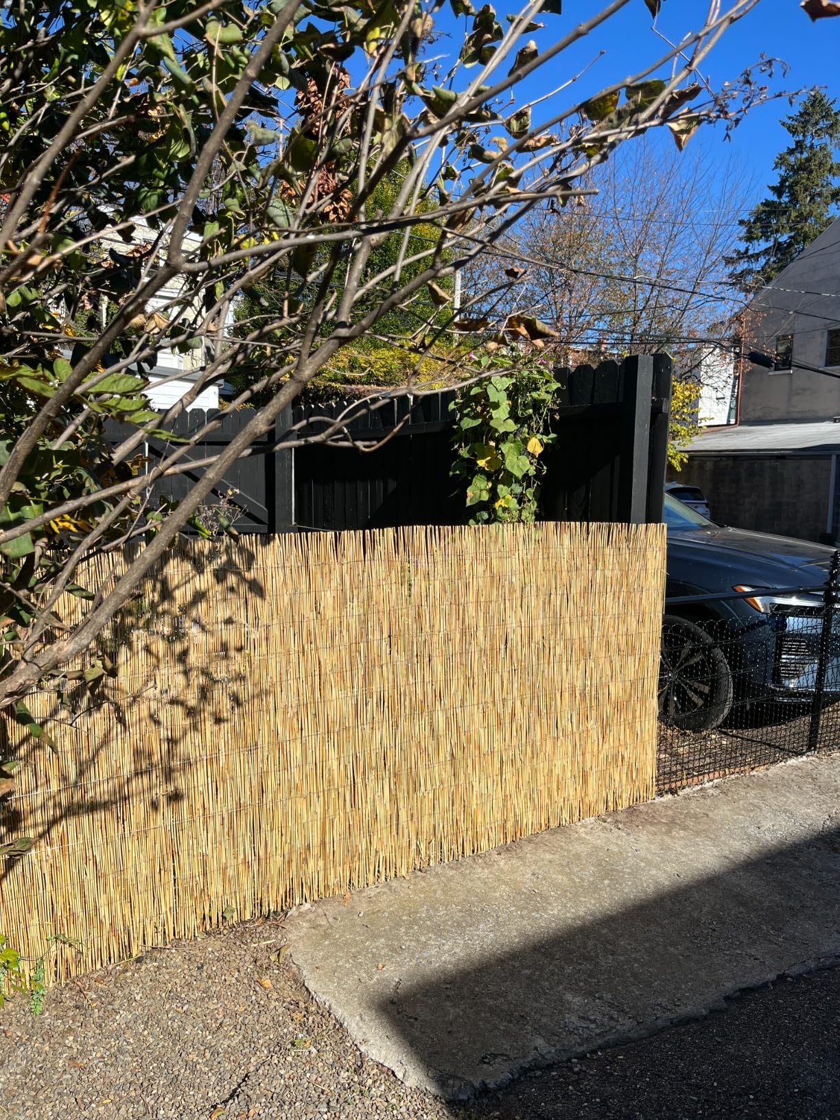 Backyard X-Scapes Natural Reed Fencing Decorative Fence for Backyard Garden Fencing Divider 4 ft H x 8 ft L customer photo 2