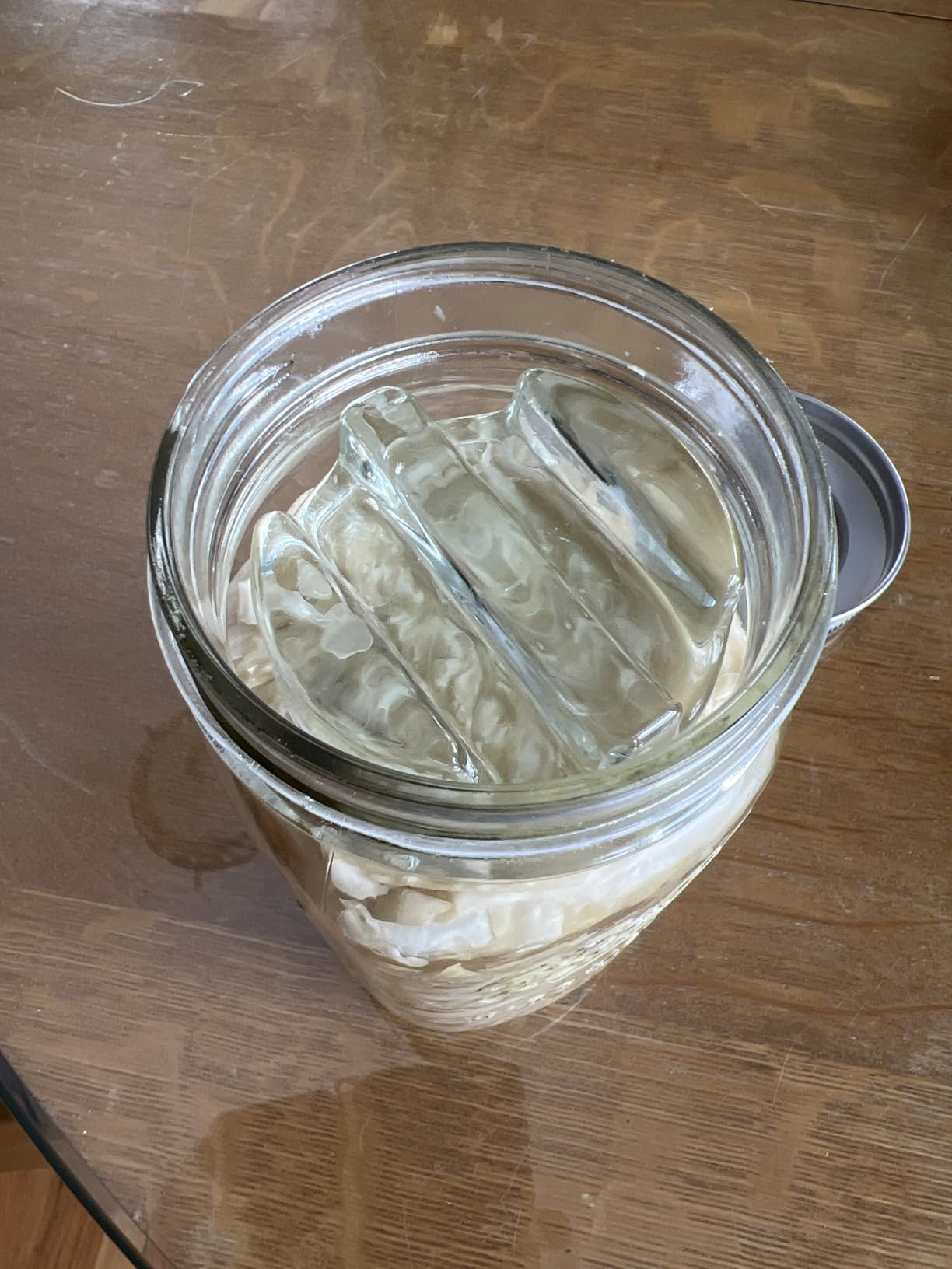 Elementi Fermentation Weight Set of 2 - Easy to Use Glass Fermenting Weights, Perfect Fit for Wide Mouth Mason Jars, Highly Durable Soda-Lime Glass Fermentation Kit for Sauerkraut, Kimchi & More customer photo 1