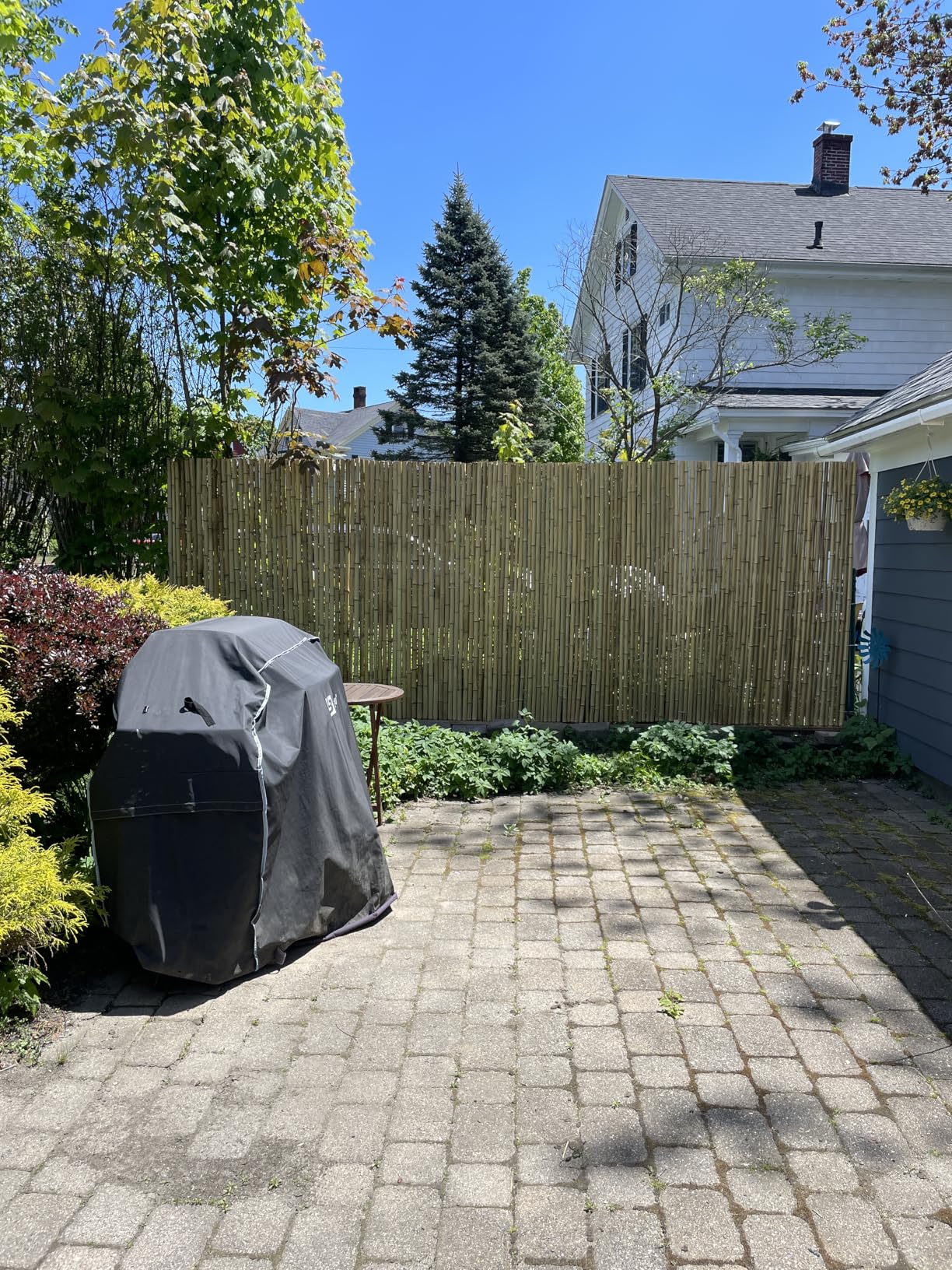 Backyard X-Scapes Natural Bamboo Fencing Decorative Rolled Fence Panel 0.75 in D x 6 ft H x 8 ft L customer photo 2