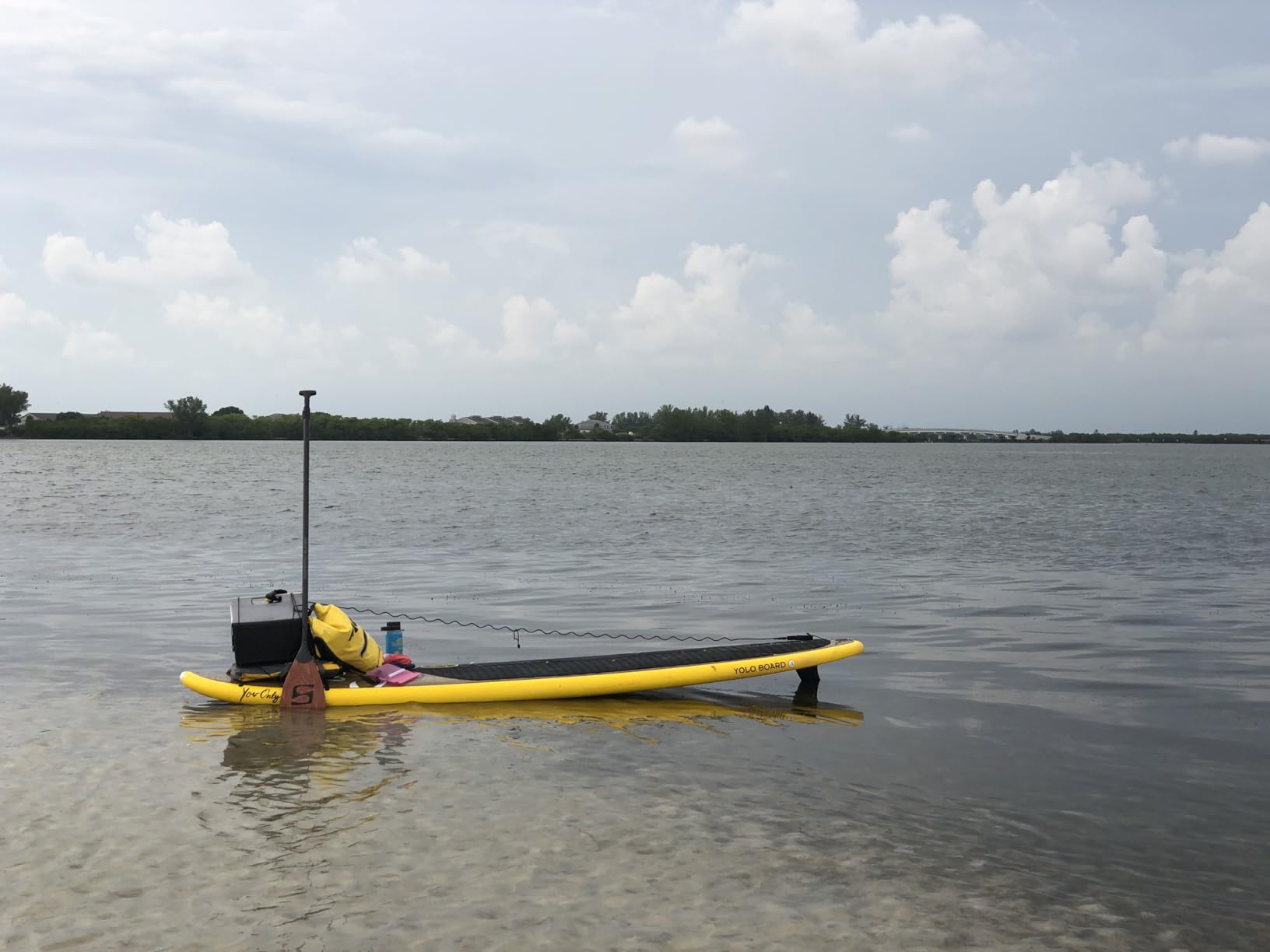 Dakine Procomp Surf Leash customer photo 1