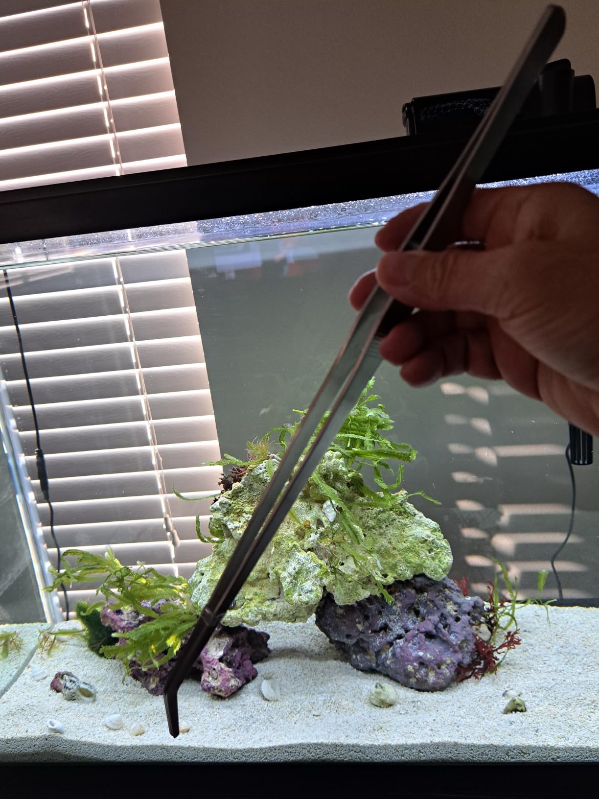 Extra Long Aquarium Aquascaping Tools Kit 8 in 1, Liveek Stainless Steel Aquarium Plant Tools Long Fish Tank Aquascope Tweezers Scissors Scrapers, PH Paper, Fish Net, Aquascape Clean Brush, Bag customer photo 1