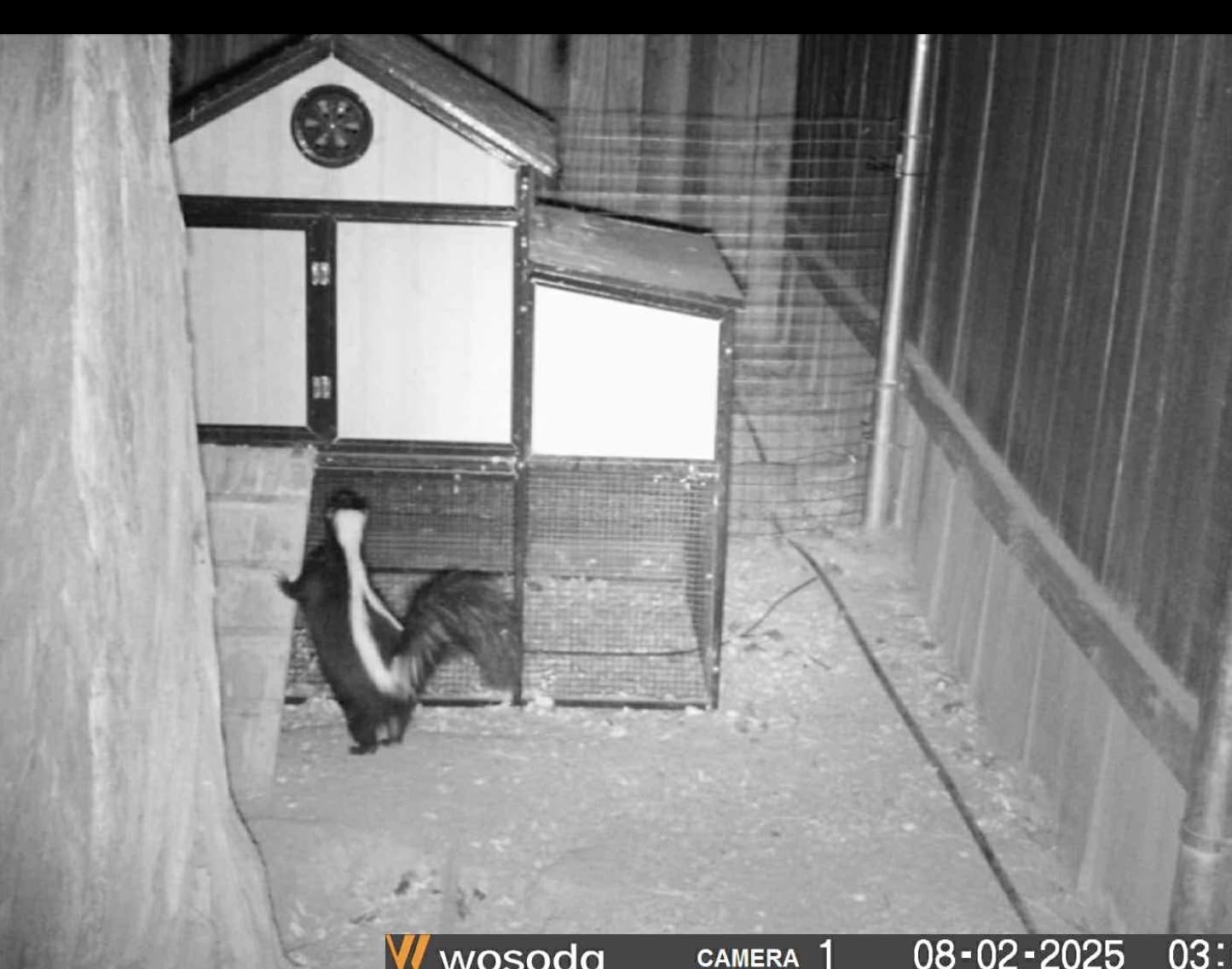 2 Pack Trail Cameras with Night Vision Motion Activated Waterproof, 30MP Game Camera, 1080P HD Trail Cam with SD Card for Wildlife Monitoring, Outdoor Scouting & Security customer photo 2