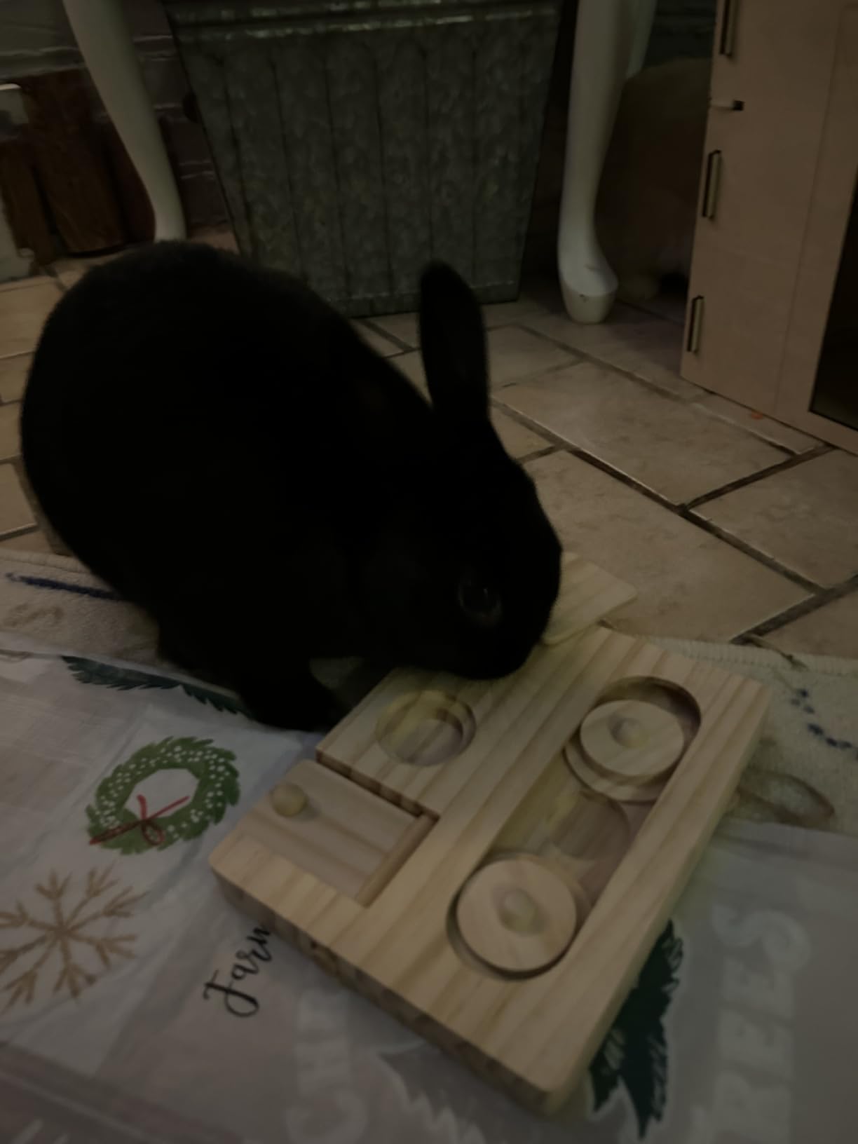 Guinea Pig Foraging Toys, 6 in 1 Hamsters Wooden Interactive Enrichment Toys, Treat Dispenser for Small Animal, for Rabbits, Bunny, Chinchillas, Rats and Gerbils customer photo 2