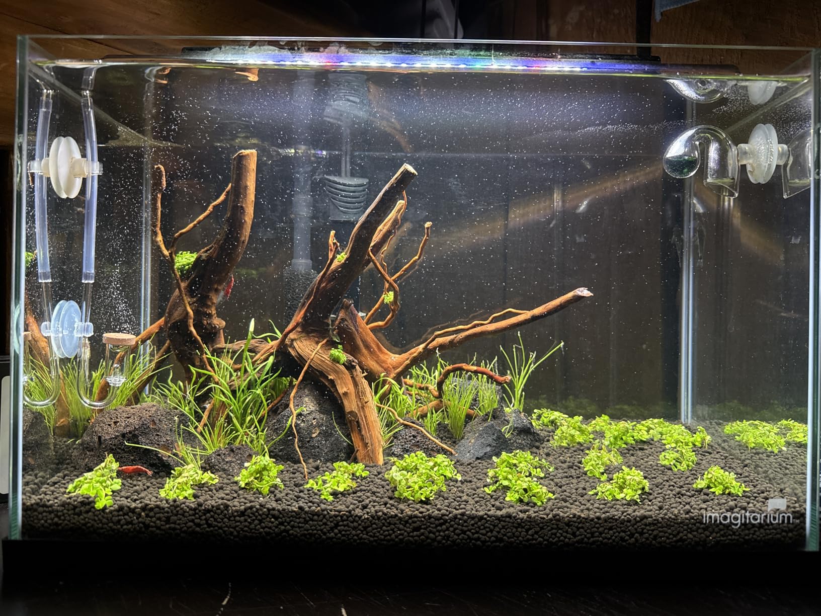 Fzone Neo CO2 Diffuser with Customized Ceramic from South Korea(S-13mm) customer photo 2