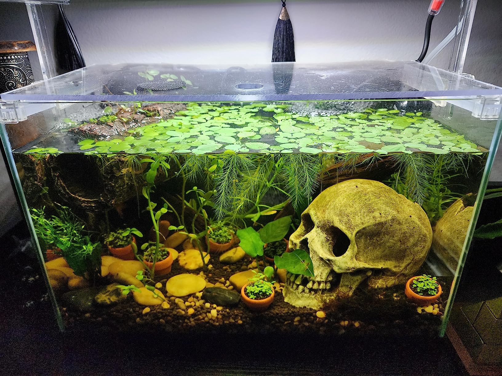 Aquarium Aquascape Tools Kit, Long 15 Inch Stainless Steel Aquatic Plants Tools, 4 in 1 Anti-Rust Aquascaping Tweezers Scissors Spatula Scrapers Tool Set for Fish Tank Cleaning Plant Trimming Shears customer photo 1