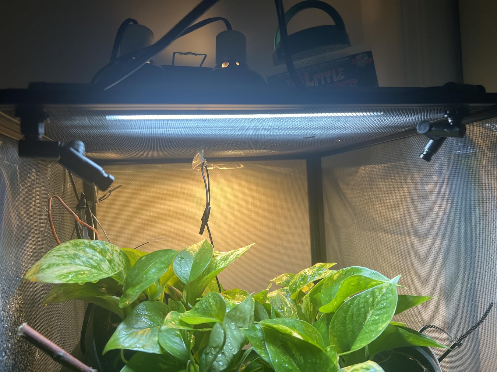 Reptile Humidifiers Smart Misting System, Reptile Mister Automatic with Timer, Terrariums Humidifier with 360°Adjustable Misting Nozzles, Spray Kit for Rainforest Plants Amphibian customer photo 2