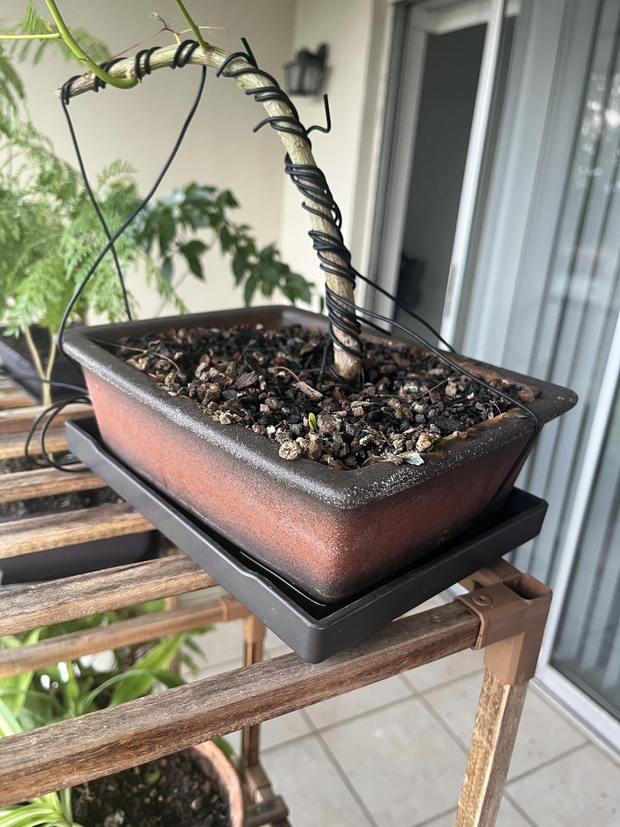 MUZHI Decorative Ceramic Bonsai Planter Pot 8.5 Inch with Tray, Breathable Unglazed Rectangle Terracotta Clay Pot for Tree Succulent Cactus Indoor Outdoor Red Brown customer photo 1