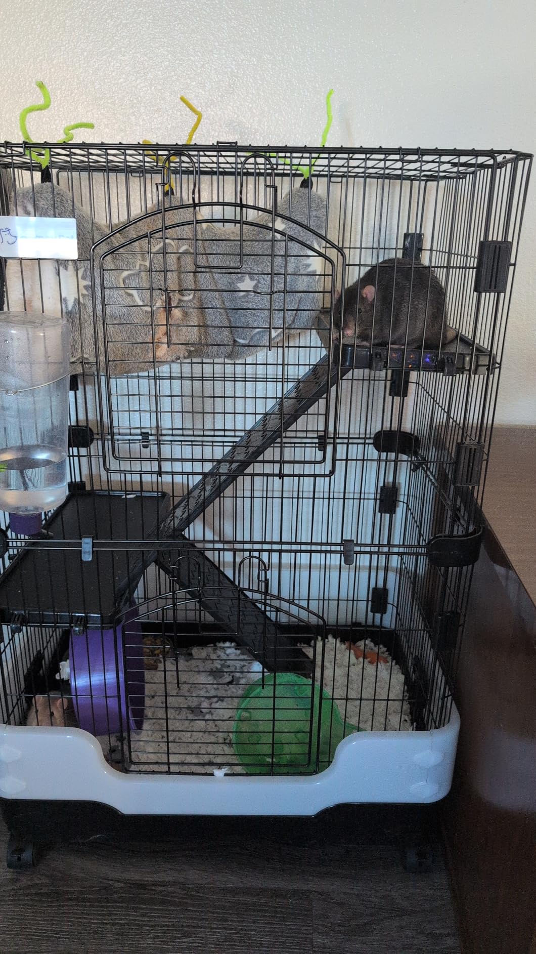 Homey Pet 3 Levels Chinchilla Ferret Pet Crate Small Animals Cages for Rat, Hamster, Guinea Pig, Squirrel, Include Caster Tray and Urine Guard (Black) customer photo 2