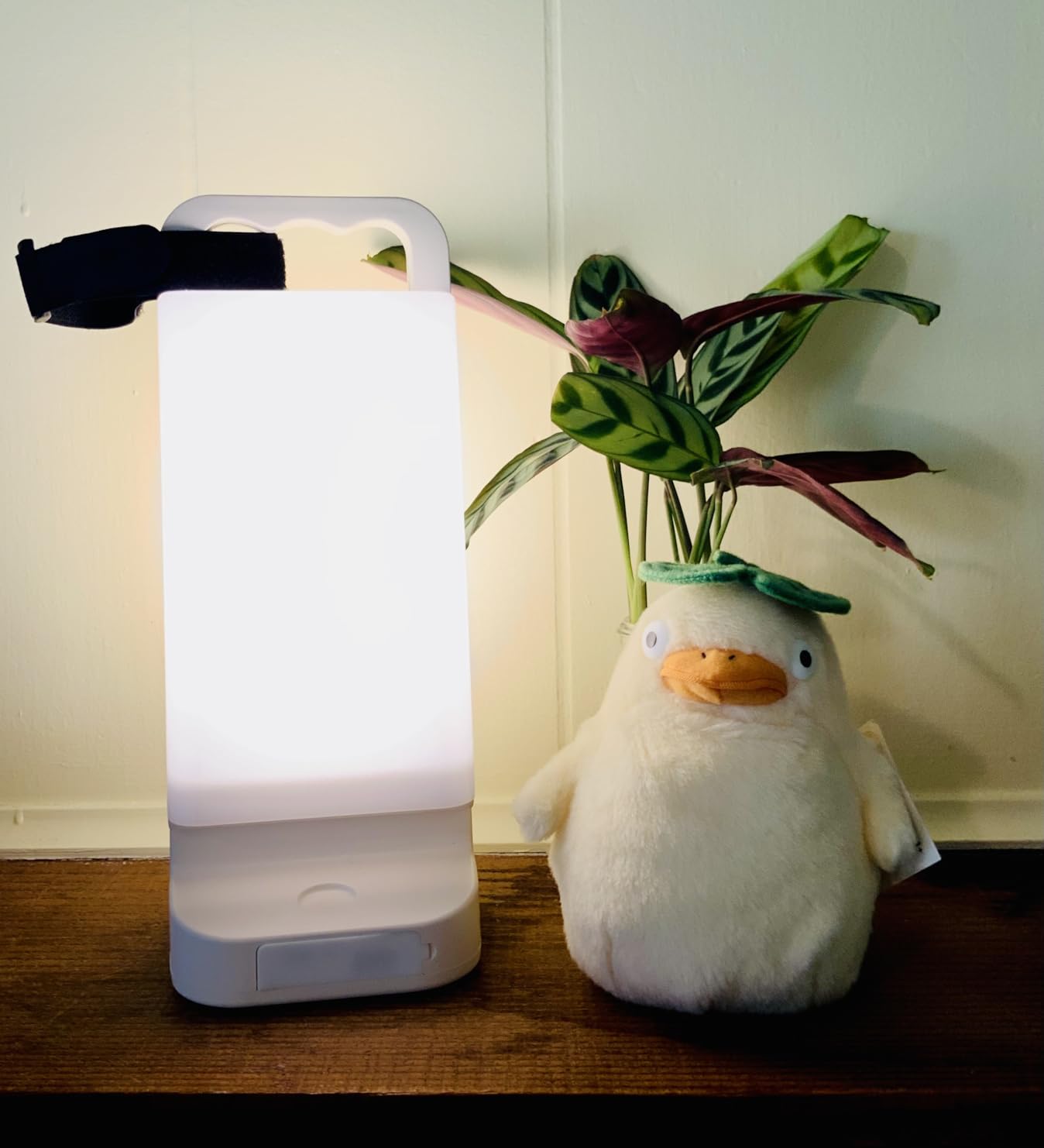 Solar Camping Lantern, Rechargeable Battery Powered Camping Light 6000mAh Up to 80HRS Lasting, Dimmable Night Lamp, Survival gear for Emergency, Power Outages, Outdoor, Indoor customer photo 1