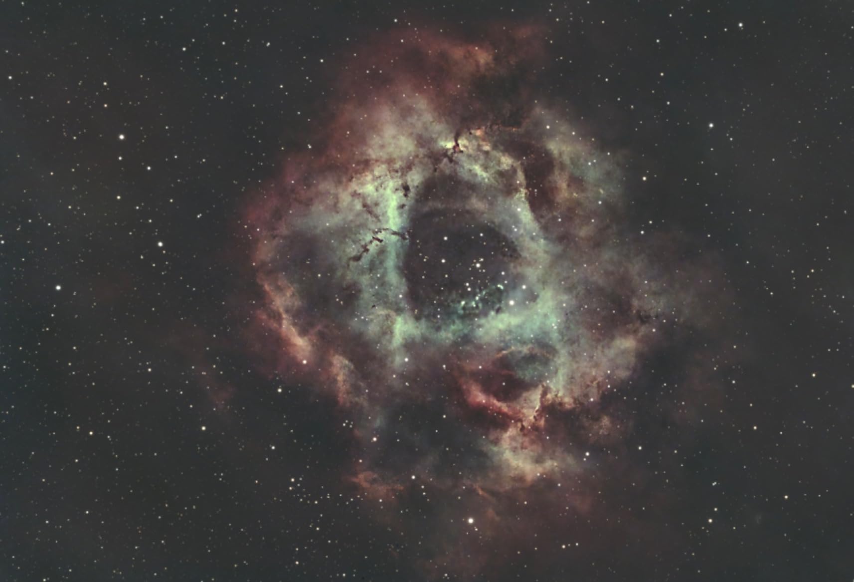 SVBONY SV405CC Astrophotography Camera, Cooled Telescope Eyepiece IMX294 customer photo 1