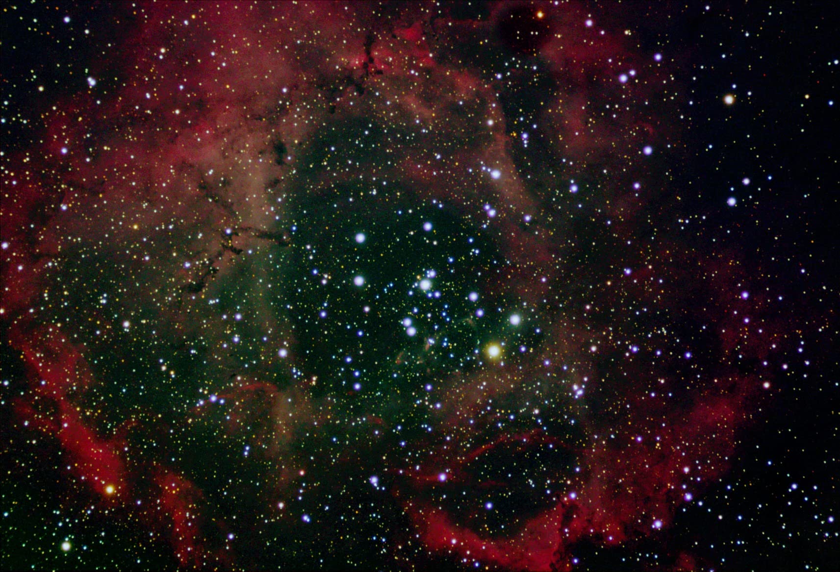 SVBONY SV405CC Astrophotography Camera, Cooled Telescope Eyepiece IMX294 customer photo 2