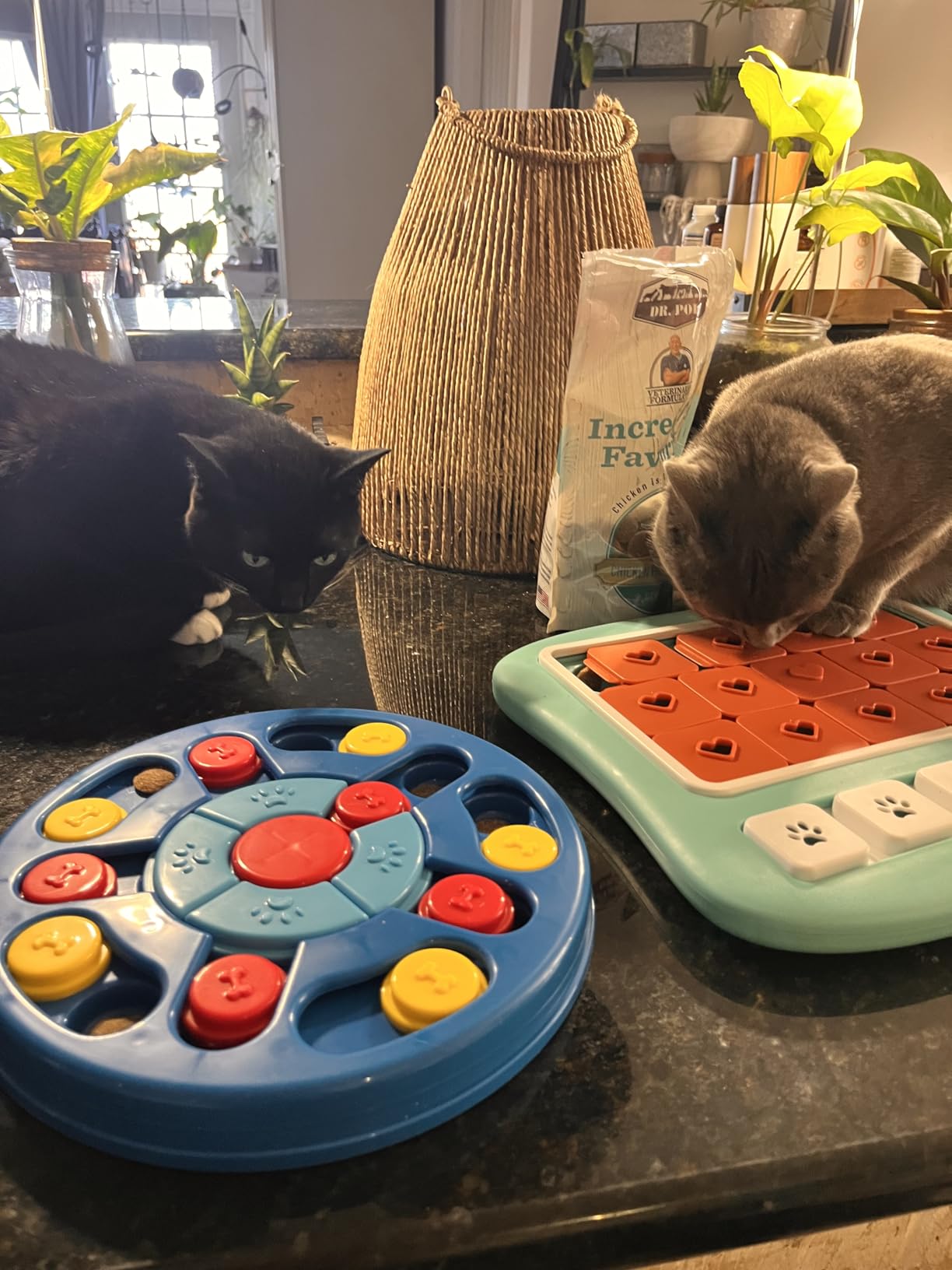 FOXMM Interactive Dog Treat Puzzle Toys for IQ Training & Mental Stimulating | Fun Slow Feeder, Large Medium Small Dogs Enrichment Toys with Squeak Design, Ideal Gifts for Puppies, Cats, Dogs customer photo 2