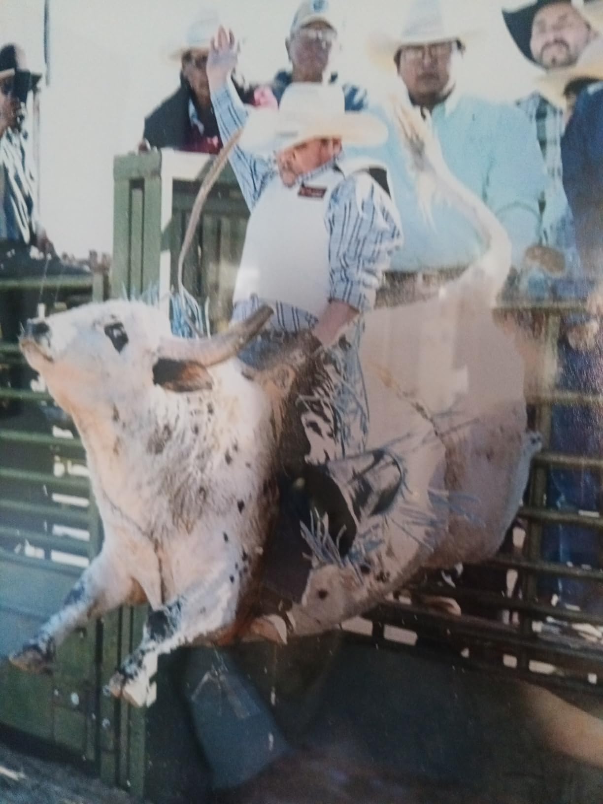 HILASON Equestrian Bull Riding Rodeo Safety Vest Protective Leather customer photo 2