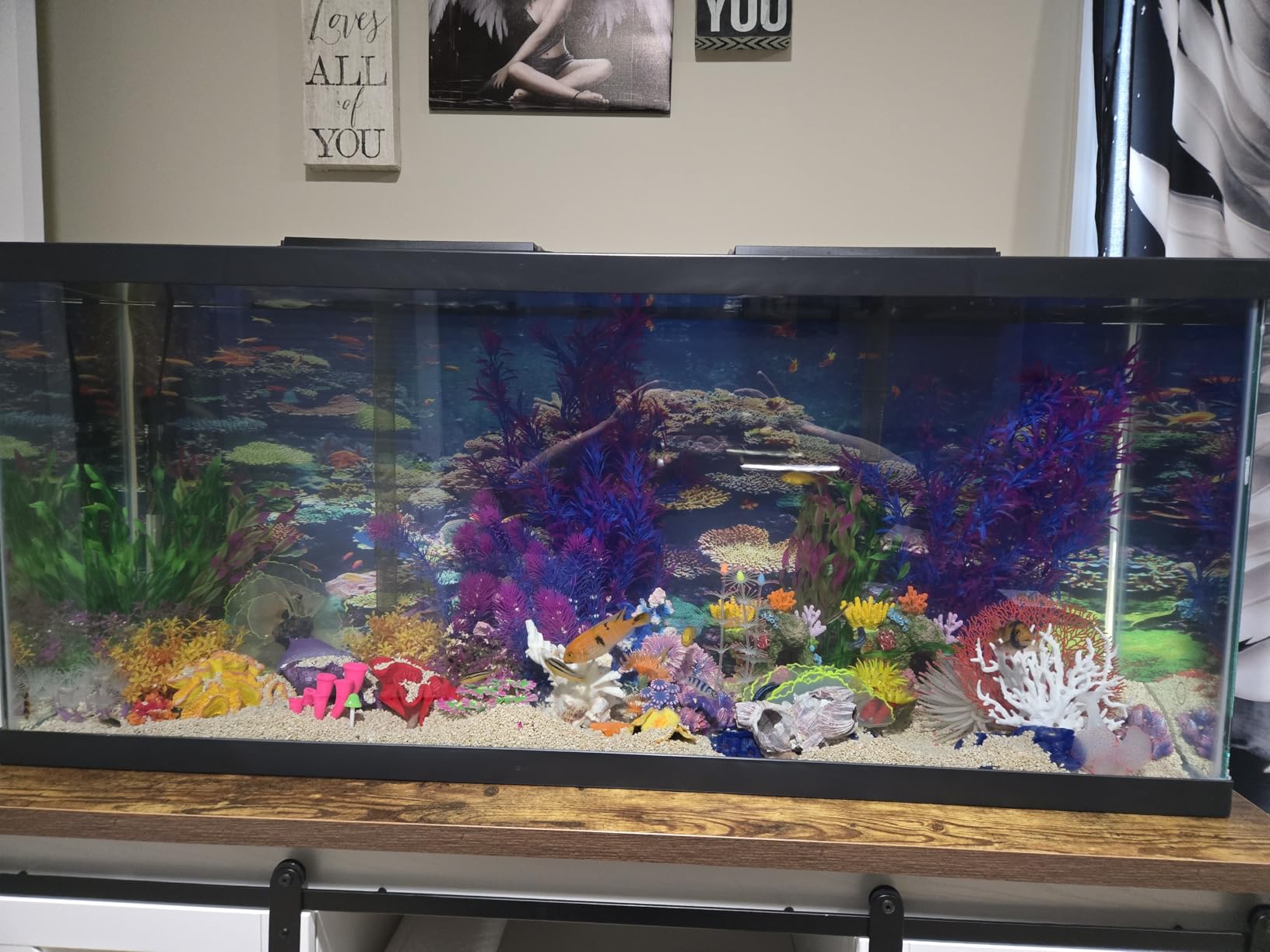 Tetra Aquarium, 10 Gallon, Complete Tropical Fish Tank Kit with LED Lighting for Freshwater Fish customer photo 2