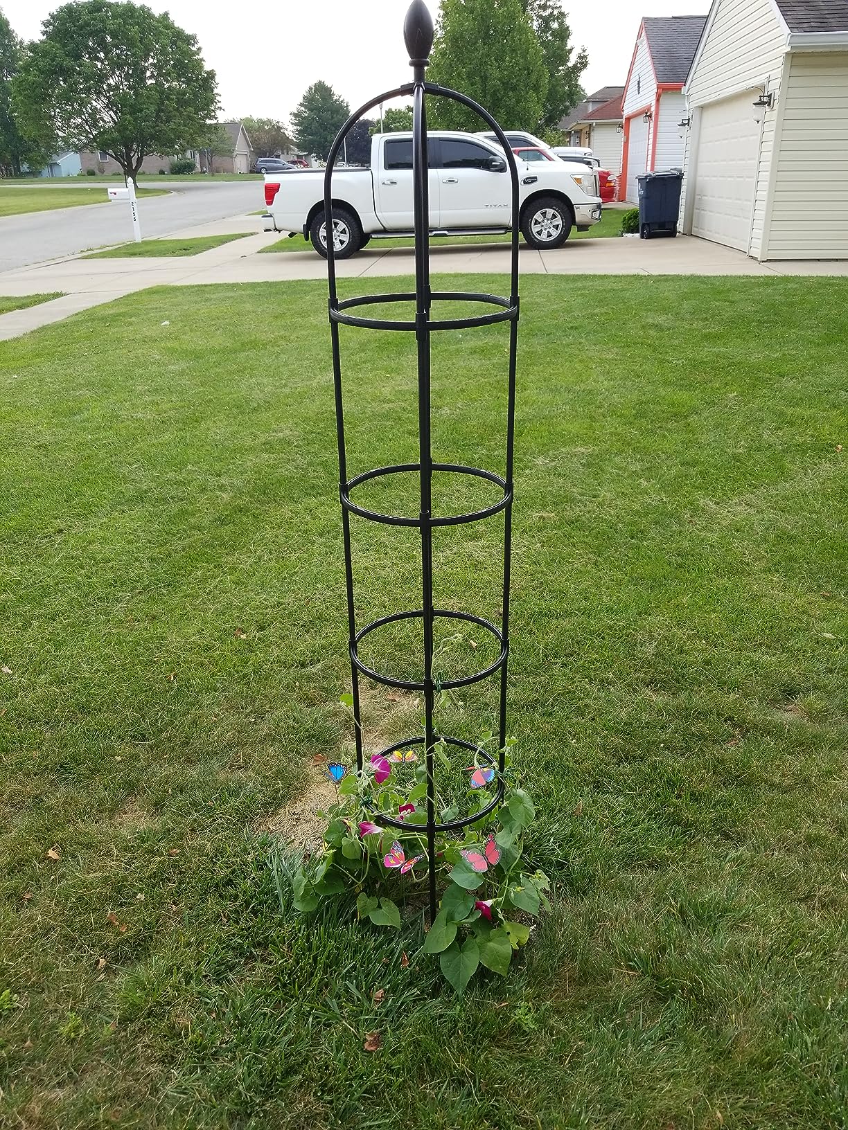 Obelisk Trellis for Climbing Plants Outdoor 6.6ft, Garden Tower Trellis for Potted Plants Indoor with Twist Tie, Clips and Butterflies Rustproof Coated Metal Support for Vines Rose 2Pack customer photo 1