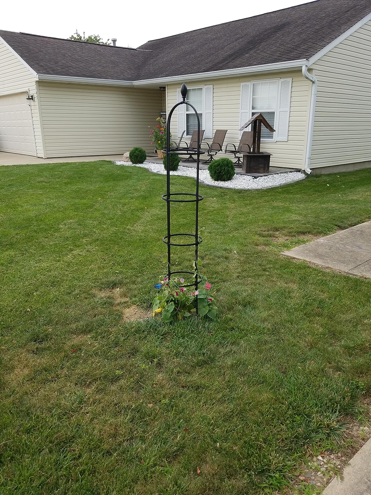 Obelisk Trellis for Climbing Plants Outdoor 6.6ft, Garden Tower Trellis for Potted Plants Indoor with Twist Tie, Clips and Butterflies Rustproof Coated Metal Support for Vines Rose 2Pack customer photo 2