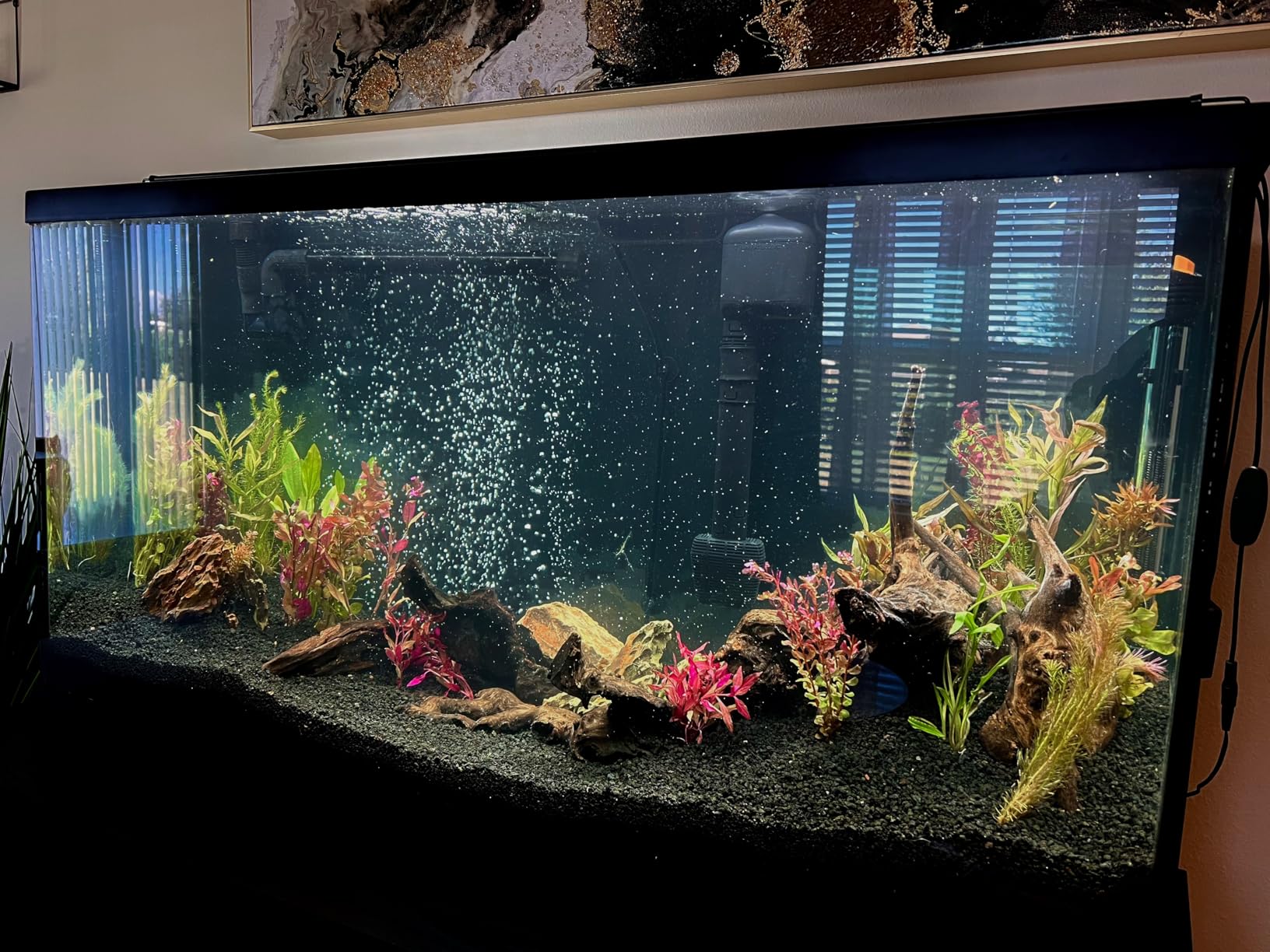 LANDEN Kueiyang Hornwood for Aquascaping, Aquarium Driftwood Decor, Natural Branches(12-14 inches, 30-35cm) 4pcs Terrariums Vivariums Reptile and Amphibian Enclosures Various Shapes customer photo 1