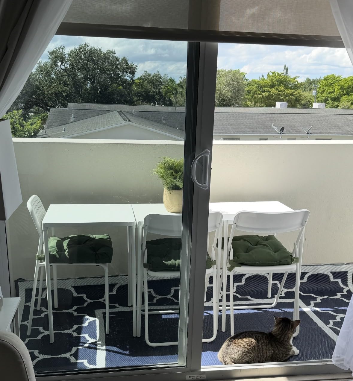 GENIMO 6' x 9' Outdoor Rug Waterproof for Patio Fall Decor, Foldable Reversible Plastic Straw Area Rugs Mat for Camper, Outside Carpet for Rv, Deck, Porch, Picnic, Beach, Balcony, Blue & White customer photo 2