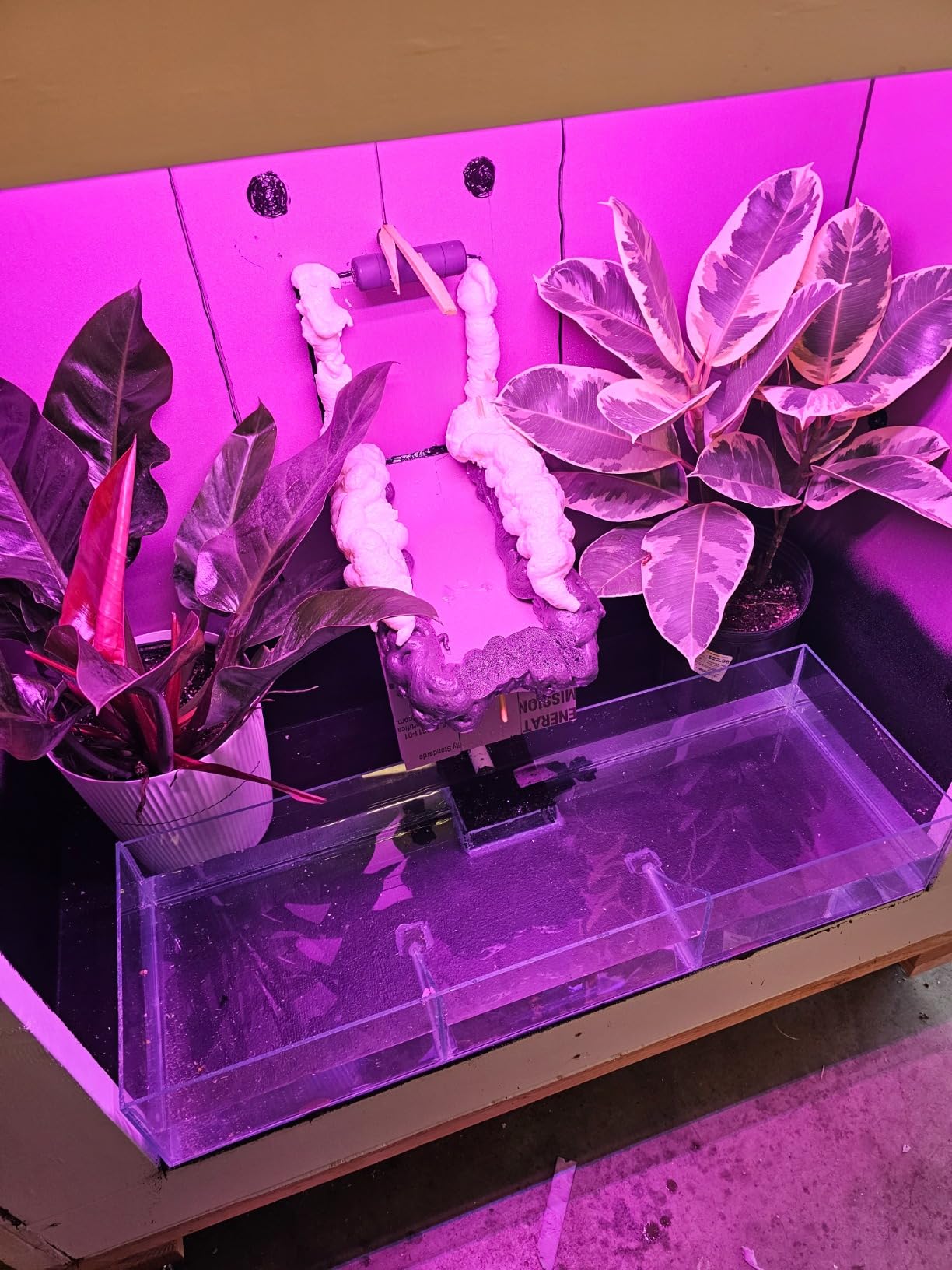 Reptile Fogger Automatic Reptile Mister Fogger for Terrarium, Timed Terrariums Humidifiers for Chameleon/Lizard/Snake/Turtle/Frog customer photo 2