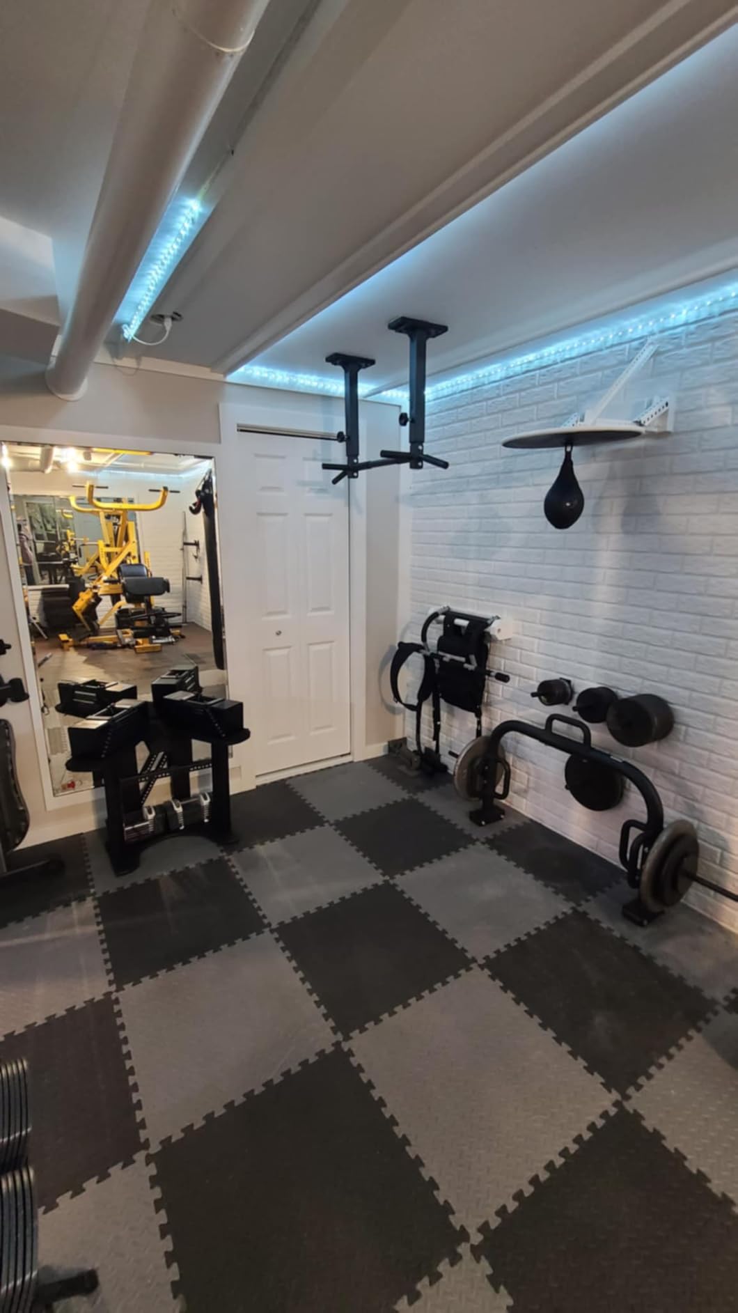 SYL Fitness Wall Mounted Weight Plate Holder, Wall Weight Storage Rack Available in 1