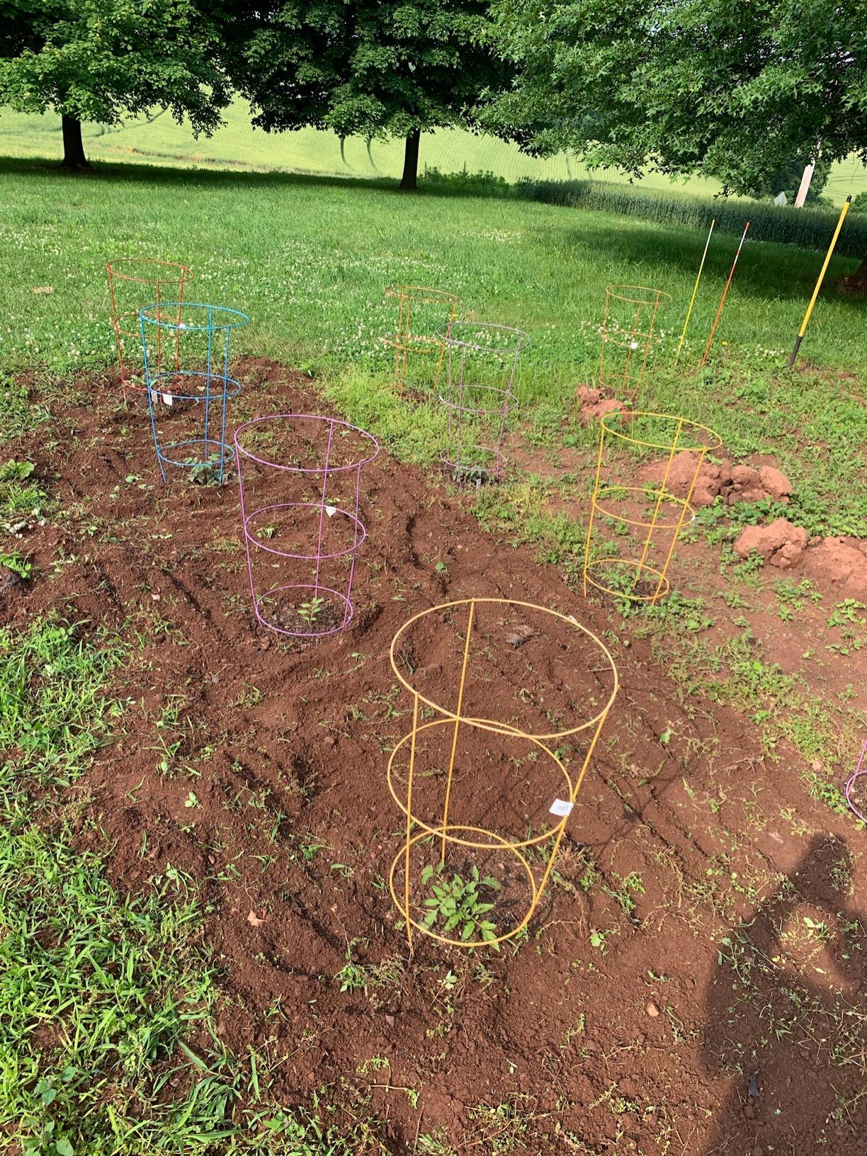 Earthquake MC43 Cultivator, 43cc 2-Cycle Viper Engine, 6-10