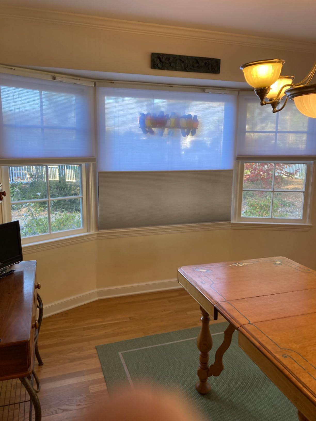 Yoolax Smart Motorized Day and Night Cellular Shades with Remote, Top Down Bottom Up Blinds Compatible with Alexa, Honeycomb Blinds (White Light Filtering+White Blackout) customer photo 2