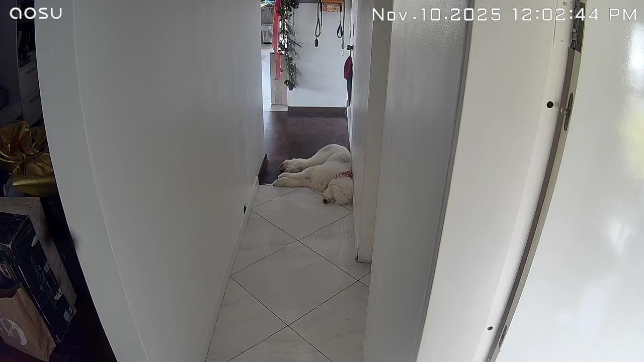 aosu 2K Security Camera Indoor, Baby Monitor Pet Camera 360-Degree for Home Security with 2.4 GHz Wi-Fi Router, One-Touch Call, Smart Motion Tracking, IR Night Vision, Compatible with Alexa customer photo 1