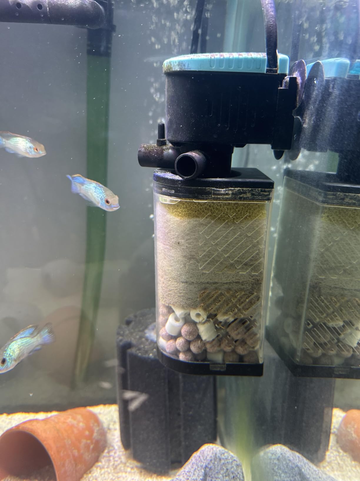 AquaMiracle Aquarium Filter 3-Stage in-Tank Filter Internal Fish Tank Filter Turtle Filter for 10-40 Gallon Fish Tanks with Dual Water Outlet & Aeration customer photo 1