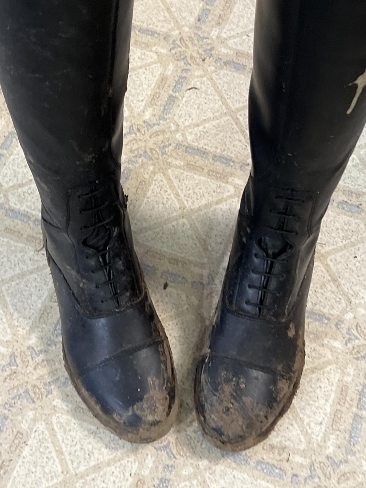 Rover Women's Synthetic Leather Classic Tall Field Riding Boots | Water-Resistant with Laces and Rear Zipper customer photo 2