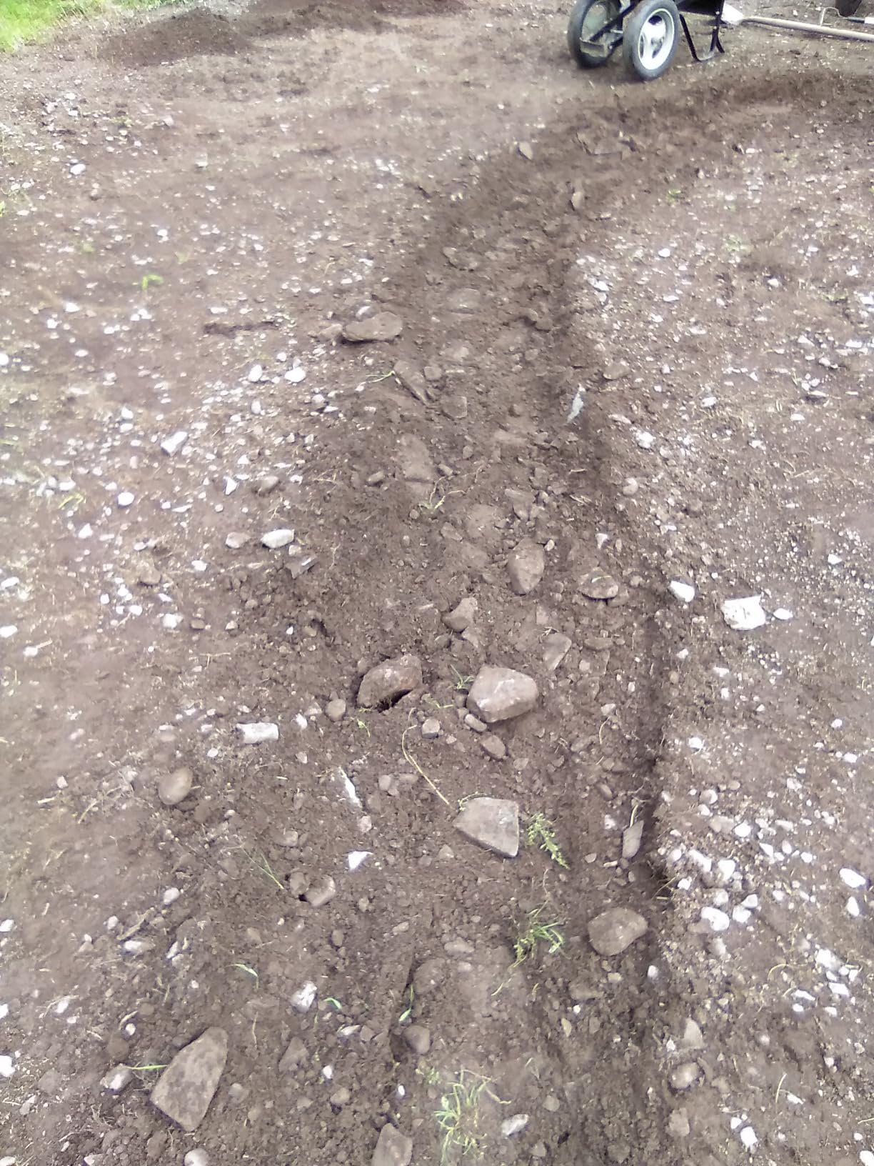 EARTHQUAKE Victory Rear Tine Tiller, Powerful 209cc 4-Cycle Viper Engine, Rugged Bronze Gear Transmission, Counter-Rotating Tines, Instant Reverse, Pneumatic Wheels, Model: 39381, Red/Black customer photo 2