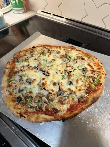 HALO Versa 16 Pizza Oven | 16