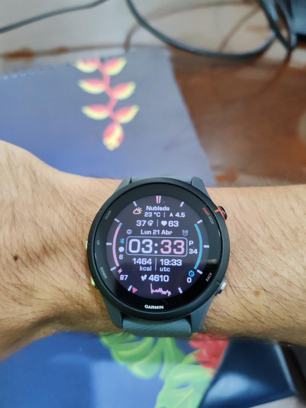 Garmin Forerunner 255, GPS Running Smartwatch, Advanced Insights, Long-Lasting Battery, Slate Gray (Renewed) customer photo 2
