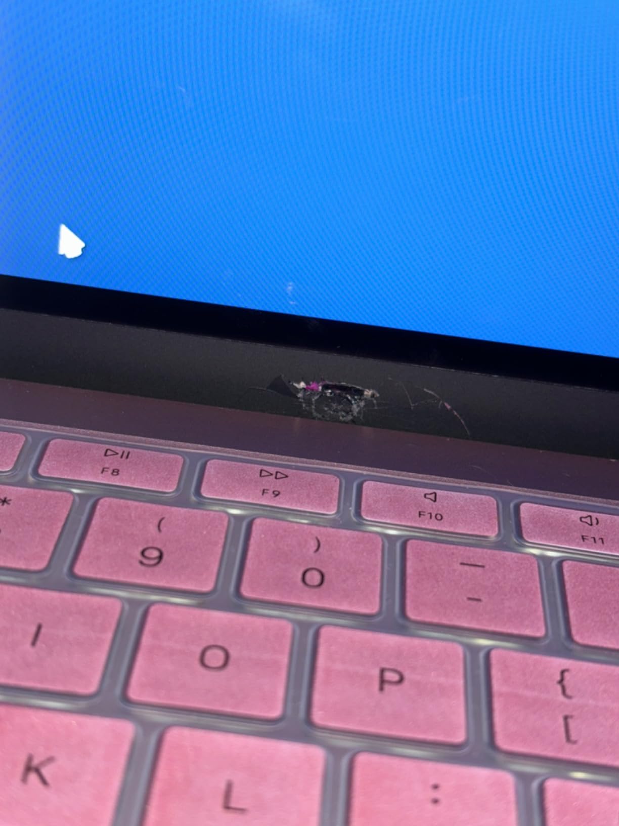 Apple Early 2020 MacBook Air with 1.1GHz Intel Core i3, 13-inch, 8GB RAM, 512GB SSD Storage, Silver (Renewed) customer photo 2