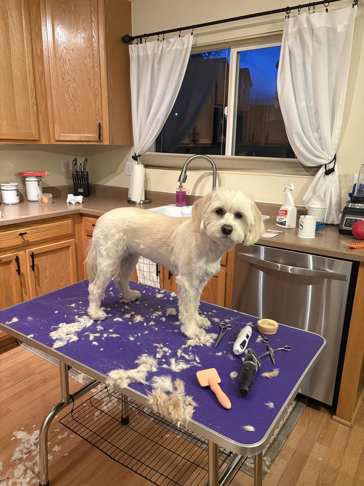 Lyromix Dog Grooming Table, Adjustable Large Pet Drying Desktop, Foldable Bathing Desk with Arms, Noose, Mesh Tray, Maximum Capacity Up to 330Lb customer photo 2