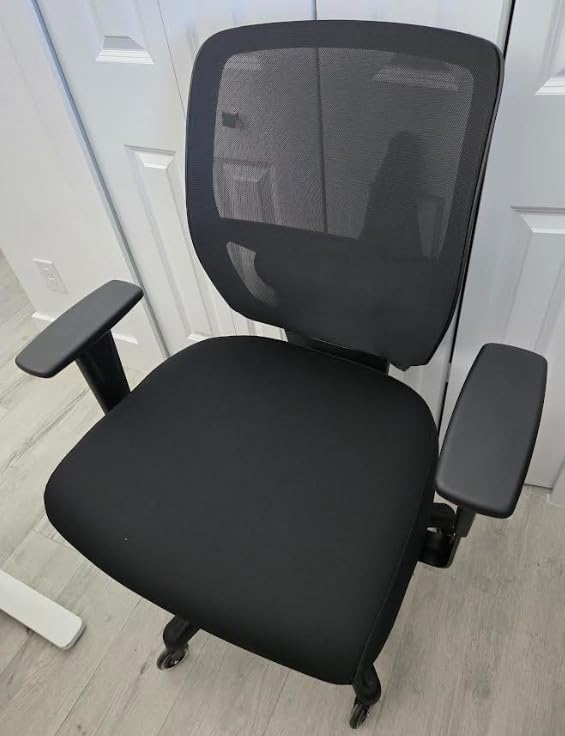 Amazon Basics Big and Tall Mesh Office Chair with Adjustable Armrests, Lumbar Support, Adjustable Height, 400lbs Capacity, Black customer photo 1