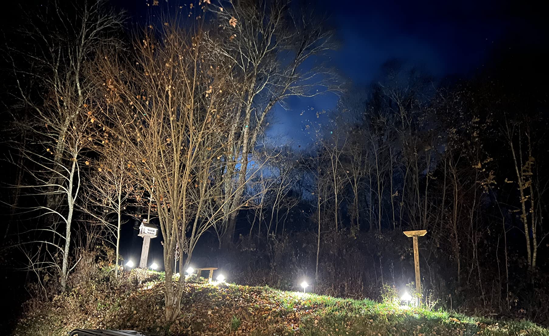 DEWENWILS 300W Smart Low Voltage Transformer, Compatible with Alexa and Google Home, 120V AC to 12V AC for LED Landscape Lights, Outdoor Lighting, ETL Listed, Waterproof, Schedule and Timer customer photo 1