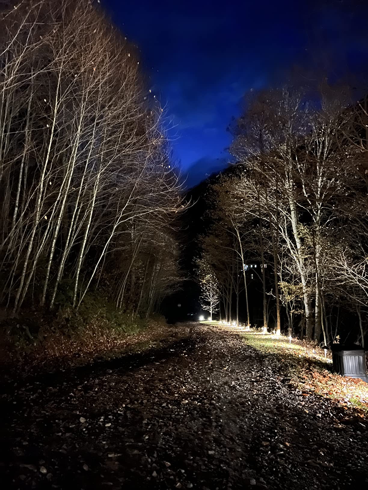 DEWENWILS 300W Smart Low Voltage Transformer, Compatible with Alexa and Google Home, 120V AC to 12V AC for LED Landscape Lights, Outdoor Lighting, ETL Listed, Waterproof, Schedule and Timer customer photo 2