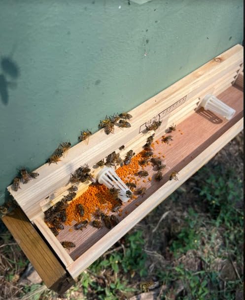 2Pcs Pollen Collector Wooden Four Row Tray Trap Entrance, Beekeeping Pollen Trap Wood Tool for Beekeeping Hives, Farm Beekeeper Pollen Collector Tool customer photo 1